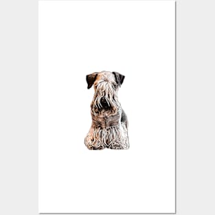 Cesky Terrier Posters and Art